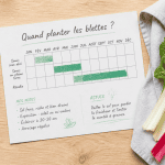 quand planter les blettes en pleine terre, graines, outils et calendrier