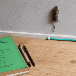 une souris peut elle grimper sur un mur lisse mur bois