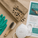 vinaigre blanc chauve souris sur plan de travail
