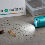 Différence entre blatte et cafard : 4 signes et traces d’infestation