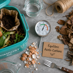 Que peut on mettre dans un composteur : restes verts et matières brunes, équilibre azote-carbone