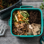 A quoi sert le compost : épluchures, marc et feuilles pour un sol vivant