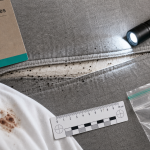 Punaise de lit comment savoir : traces sur coutures du matelas