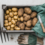 Quand recolter les pomme de terre : caisse de récolte, peau résistante, feuillage fané