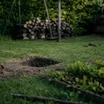 Rongeurs du jardin : trou net et crottes près d’un carré de salades