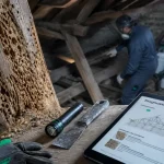 Traitement charpente bois : diagnostic charpente en bois attaquée ou saine, vermoulure et signes d’alerte